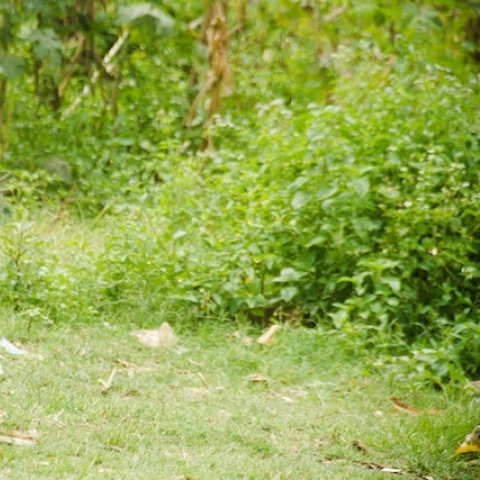 child playing outside in a rural area